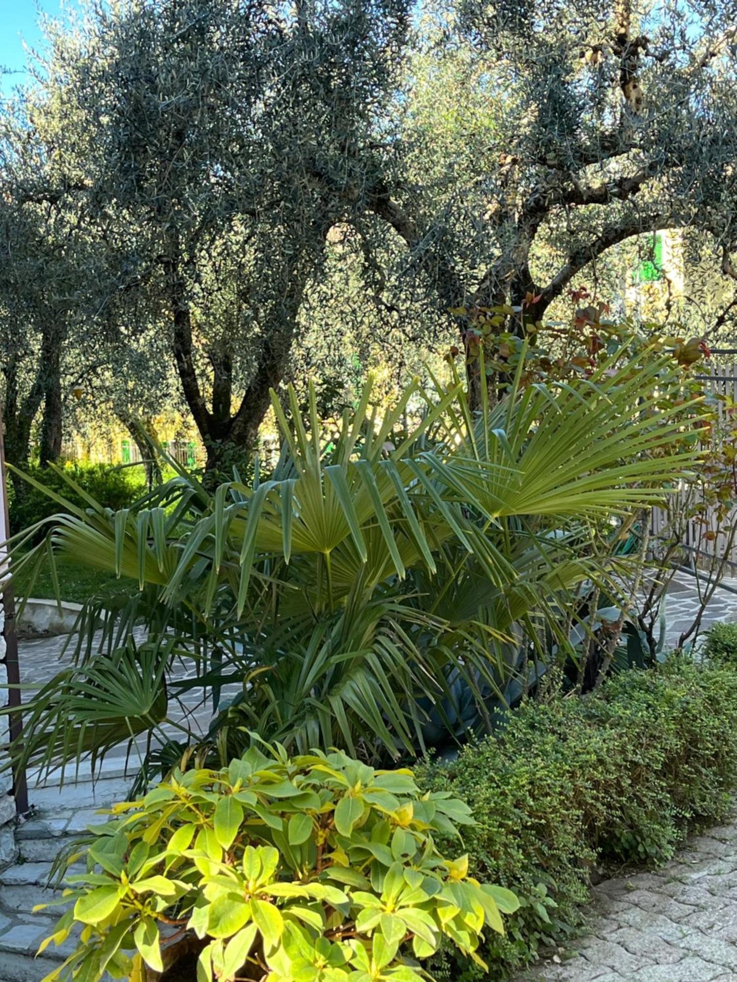 Apartmán Casa Noario Malcesine Exteriér fotografie